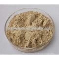 high purity 99% CA powder 331-39-5 Caffeic acid